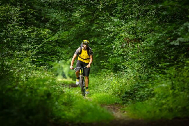 mountain biker in the woods
