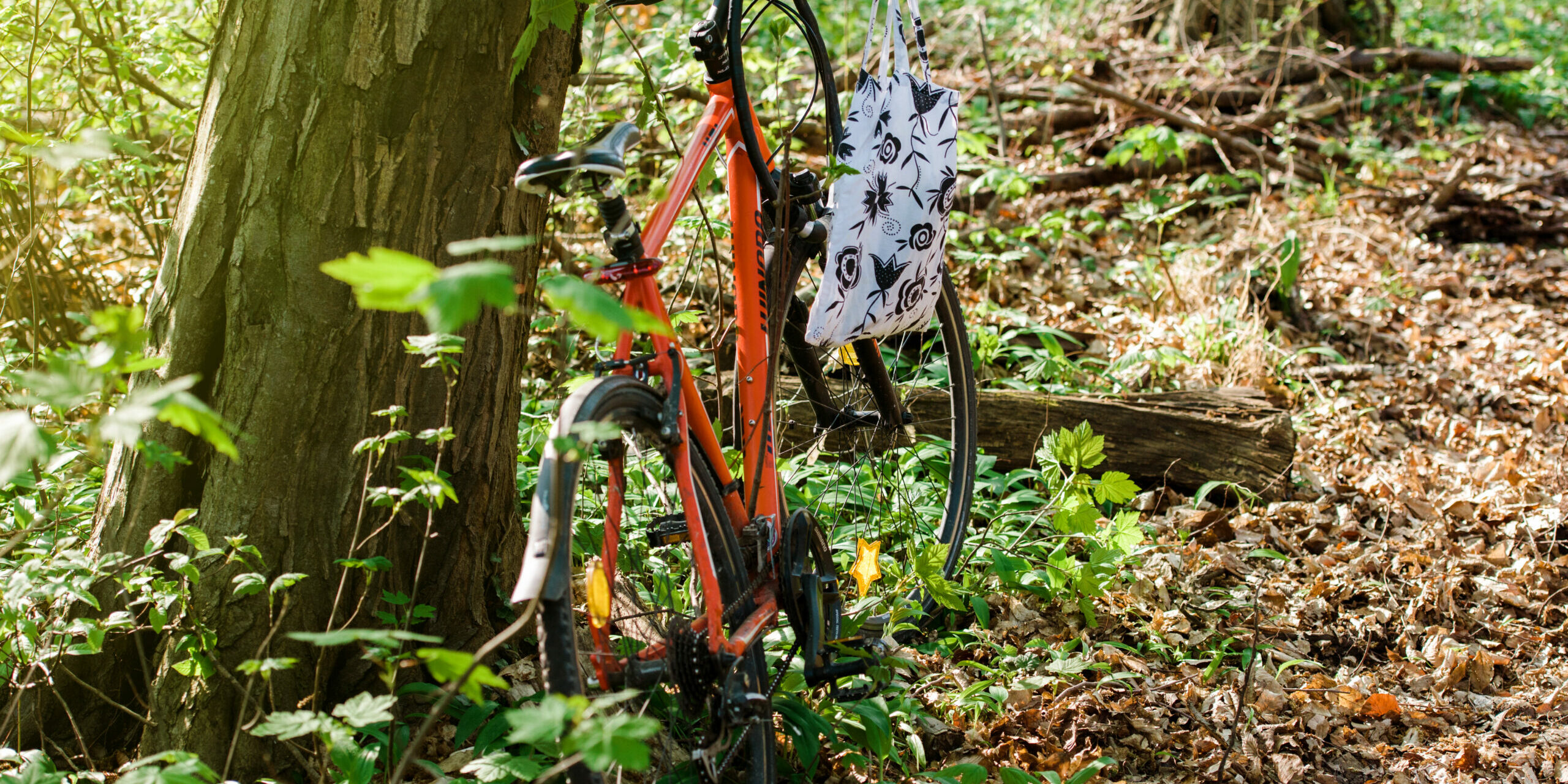 Winora bike in Forest