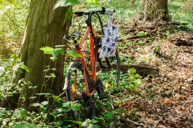Winora bike in Forest