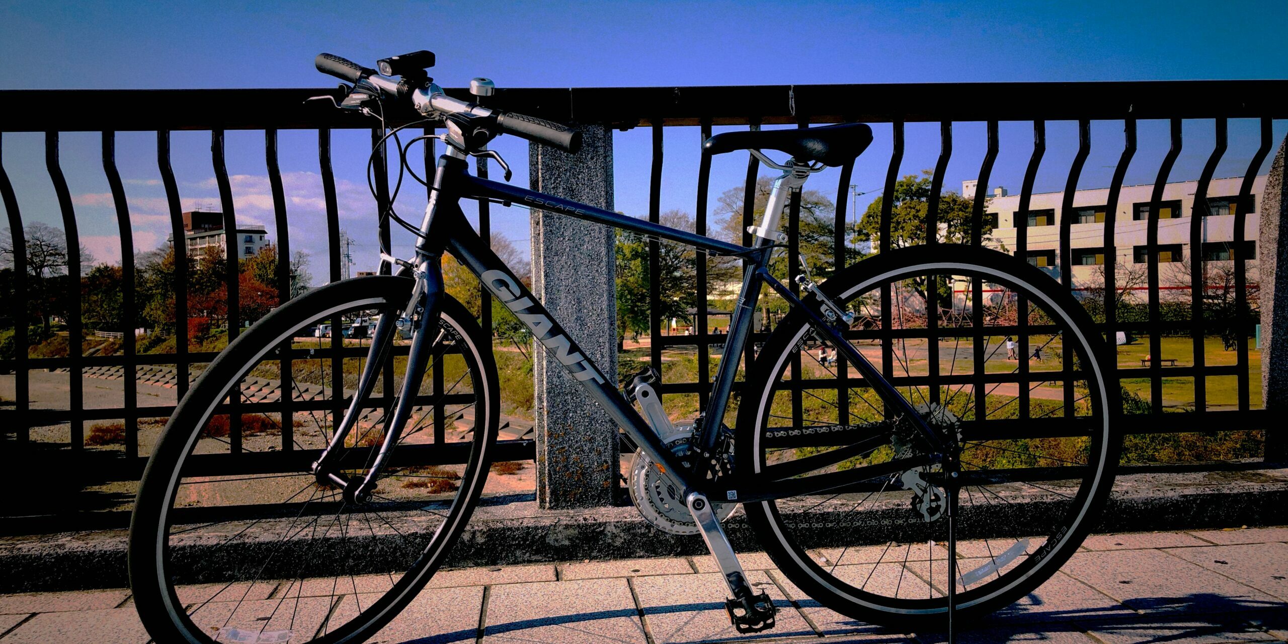 Fahrradmarken im Test, Die Marke Giant Ratgeber Beyond Move